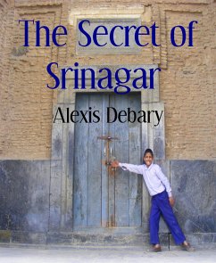 The Secret of Srinagar (eBook, ePUB) - Debary, Alexis