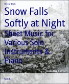 Snow Falls Softly at Night (eBook, ePUB)