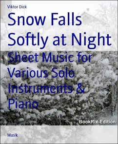 Cover Snow Falls Softly at Night (eBook, ePUB)