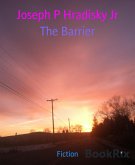 The Barrier (eBook, ePUB)