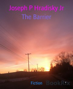 The Barrier (eBook, ePUB) - P Hradisky Jr, Joseph