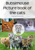 Cats and kittens Bubsimouse picture book (eBook, ePUB)
