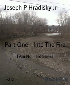 Part One - Into The Fire (eBook, ePUB) - P Hradisky Jr, Joseph