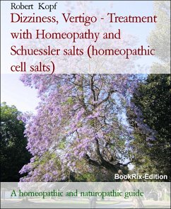 Cover Dizziness, Vertigo - Treatment with Homeopathy and Schuessler salts (homeopathic cell salts) (eBook, ePUB)