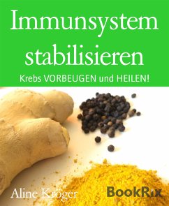 Immunsystem stabilisieren (eBook, ePUB) - Kröger, Aline