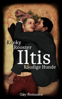Iltis (eBook, ePUB) - Rooster, Kooky