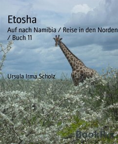 Etosha (eBook, ePUB) - Scholz, Ursula Irma