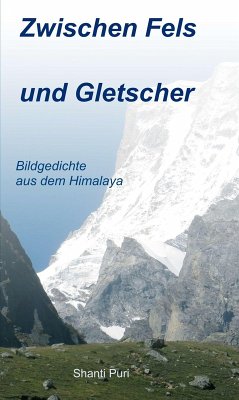 Zwischen Fels und Gletscher (eBook, ePUB) - Puri, Shanti
