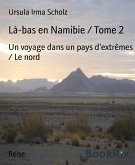 Là-bas en Namibie / Tome 2 (eBook, ePUB)