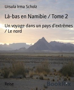 Là-bas en Namibie / Tome 2 (eBook, ePUB) - Irma Scholz, Ursula