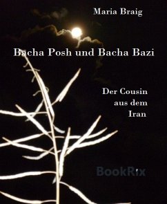Bacha Posh und Bacha Bazi (eBook, ePUB) - Braig, Maria