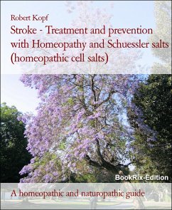 Cover Stroke - Treatment and prevention with Homeopathy and Schuessler salts (homeopathic cell salts) (eBook, ePUB)