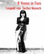 A Venus in Furs (eBook, ePUB) - Bild 1