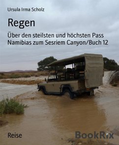 Regen (eBook, ePUB) - Scholz, Ursula Irma