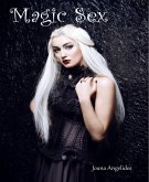 Magic Sex (eBook, ePUB)