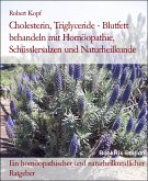 Cholesterin, Triglyceride - Blutfett behandeln mit Homöopathie, Schüsslersalzen und Naturheilkunde (eBook, ePUB)