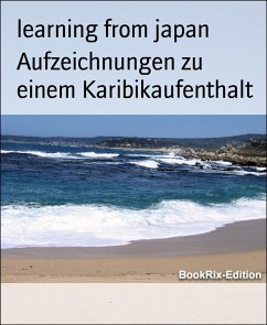 Aufzeichnungen zu einem Karibikaufenthalt (eBook, ePUB) - from japan, learning