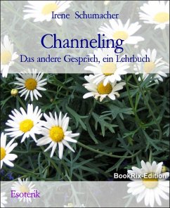 Channeling (eBook, ePUB) - Schumacher, Irene