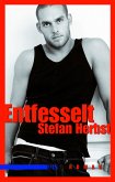 Entfesselt (eBook, ePUB)