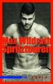 Spritztouren (eBook, ePUB)