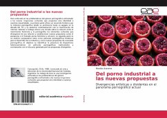 Del porno industrial a las nuevas propuestas