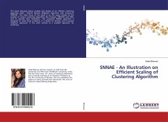 SNNAE - An Illustration on Efficient Scaling of Clustering Algorithm