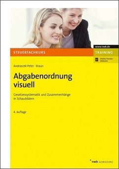 Abgabenordnung visuell - Andrascek-Peter, Ramona;Braun, Wernher