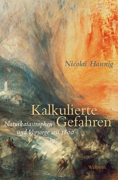 Kalkulierte Gefahren - Hannig, Nicolai