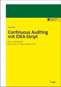 Continuous Auditing mit IDEA-Skript - Odenthal, Roger