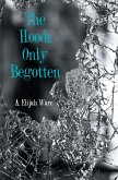 The Hoodz Only Begotten (eBook, ePUB)