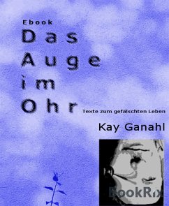 Das Auge im Ohr (eBook, ePUB) - Ganahl, Kay