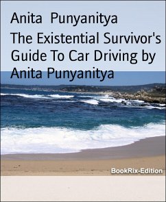 The Existential Survivor's Guide To Car Driving by Anita Punyanitya (eBook, ePUB) - Punyanitya, Anita
