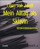 Mein Alltag als Sklavin (eBook, ePUB)