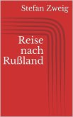 Reise nach Rußland (eBook, ePUB)