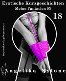 Erotische Kurzgeschichten 18 - Meine Fantasien 05 (eBook, ePUB)