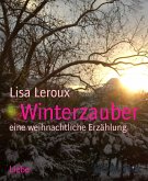 Winterzauber (eBook, ePUB)