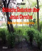 Botschaften des Evangeliums (eBook, ePUB)