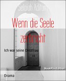 Wenn die Seele zerbricht (eBook, ePUB)