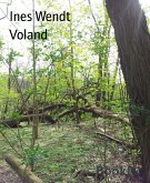 Voland (eBook, ePUB)