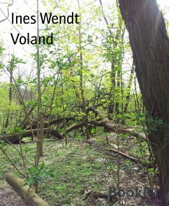 Voland (eBook, ePUB) - Wendt, Ines