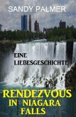Rendezvous in Niagara Falls: Eine Liebesgeschichte (eBook, ePUB)