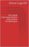 Ein Stück Lebensgeschichte und andere Erzählungen (eBook, ePUB)