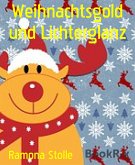 Weihnachtsgold und Lichterglanz (eBook, ePUB)