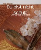 Du bist nicht schuld (eBook, ePUB)