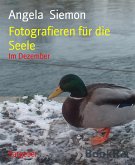 Fotografieren für die Seele (eBook, ePUB)