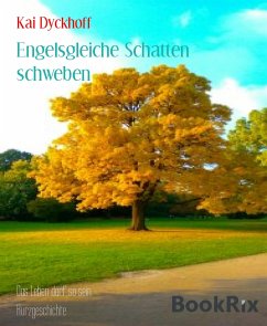 Engelsgleiche Schatten schweben (eBook, ePUB) - Dyckhoff, Kai