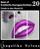 Erotische Kurzgeschichten - Best of 20 (eBook, ePUB)