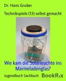 Technikspiele (13) selbst gemacht (eBook, ePUB)