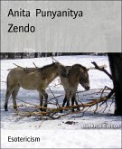 Zendo (eBook, ePUB)