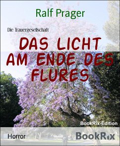 Das Licht am Ende des Flures (eBook, ePUB) - Prager, Ralf